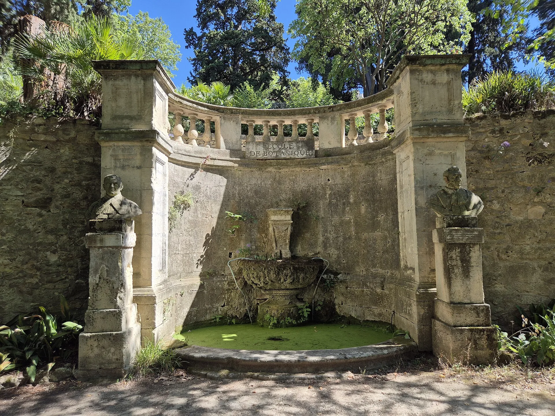 Le bassin de l'École de botanique, au jardin des plantes de Montpellier